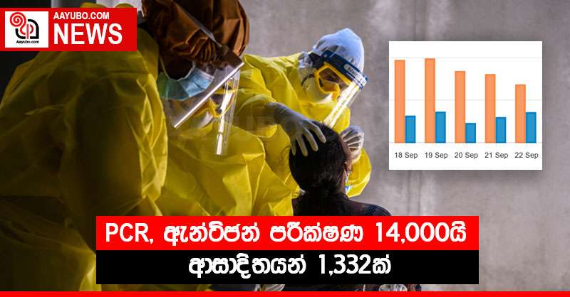 PCR, ඇන්ටිජන් පරීක්ෂණ 14,000යි - ආසාදිතයන් 1,332ක්