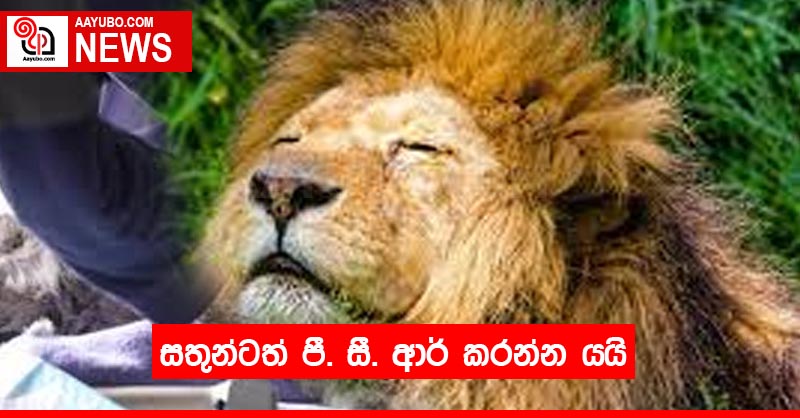 සතුන්ටත් පී. සී. ආර් කරන්න යයි