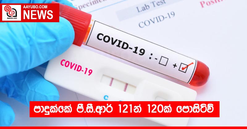 පාදුක්කේ පී.සී.ආර් 121න් 120ක් පොසිටිව්