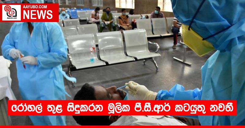 රෝහල් තුළ සිදුකරන මූලික පී.සී.ආර්  කටයුතු නවතී