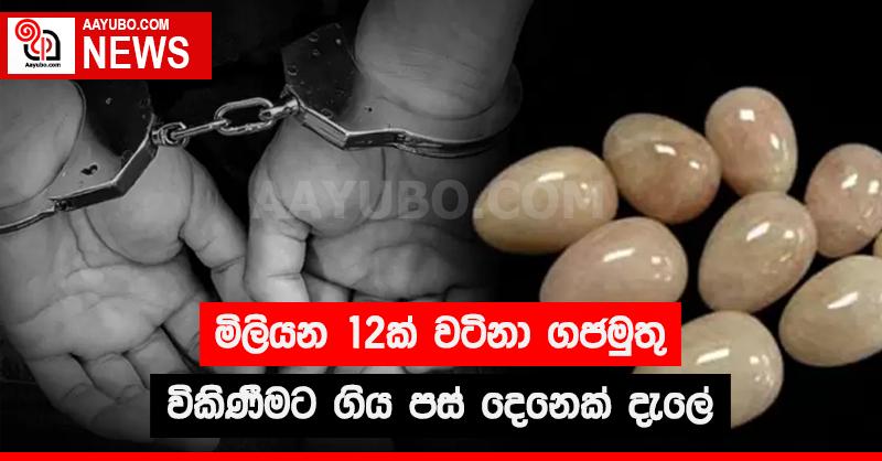මිලියන 12ක් වටිනා ගජමුතු විකිණීමට ගිය පස් දෙනෙක් දැලේ