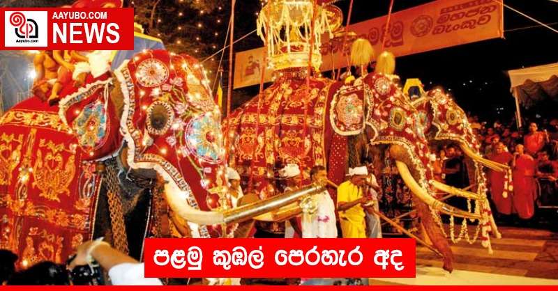 පළමු කුඹල් පෙරහැර අද