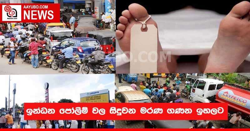 ඉන්ධන පෝලිම් වල සිදුවන මරණ ගණන ඉහලට