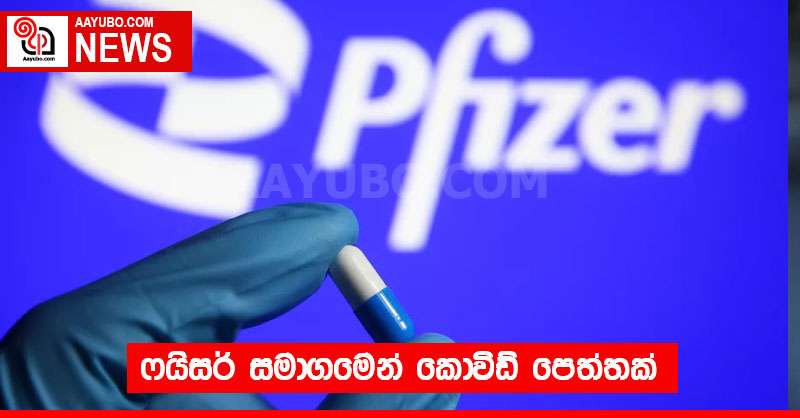 ෆයිසර් සමාගමෙන් කොවිඩ් පෙත්තක්