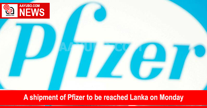A shipment of Pfizer to be reached Lanka on Monday