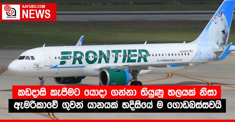 කඩදාසි කැපීමට යොදා ගන්නා තියුණු තලයක් නිසා ඇමරිකාවේ ගුවන් යානයක් හදිසියේ ම ගොඩබස්සවයි