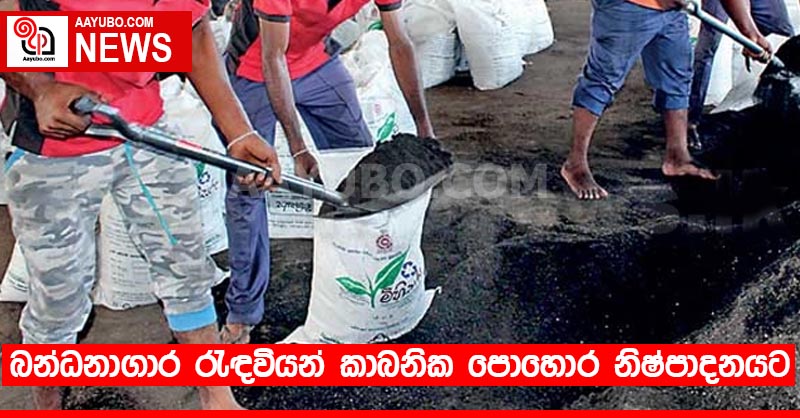 බන්ධනාගාර රැඳවියන් කාබනික පොහොර නිෂ්පාදනයට