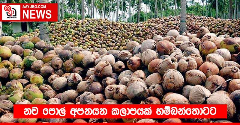 නව පොල් අපනයන කලාපයක් හම්බන්තොටට