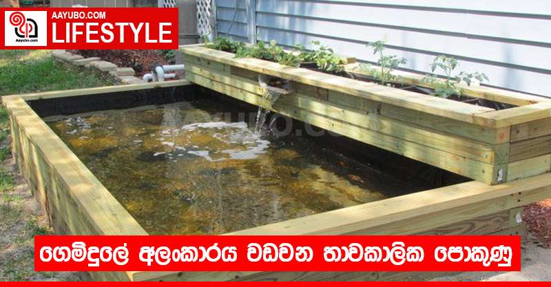 ගෙමිදුලේ අලංකාරය වඩවන තාවකාලික පොකුණු