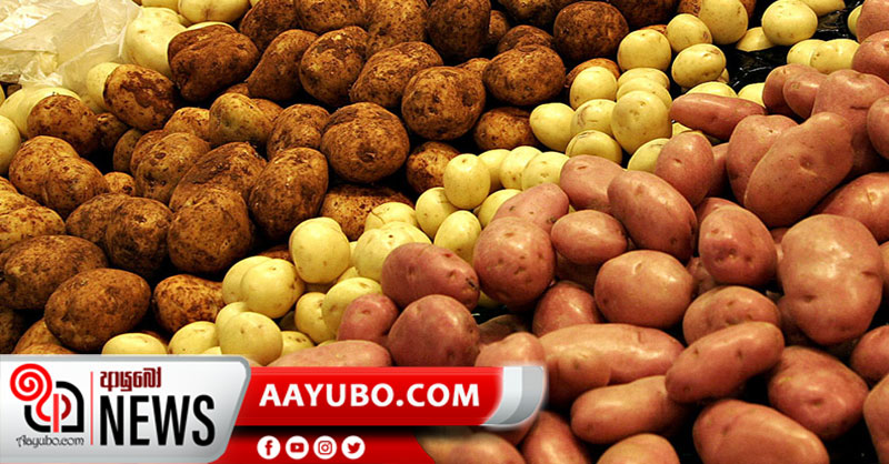 ගැසට් නිවේදනයක් නිකුත් වෙයි -  දේශීය අල වගාකරුවන්ට හොද කලක් 