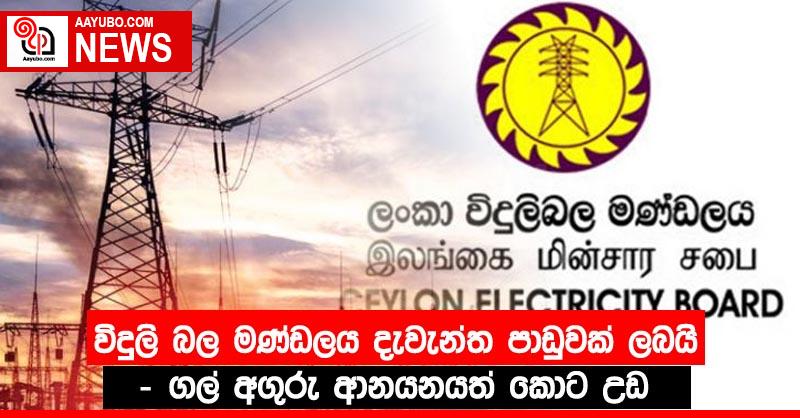 විදුලි බල මණ්ඩලය දැවැන්ත පාඩුවක් ලබයි - ගල් අගුරු ආනයනයත් කොට උඩ