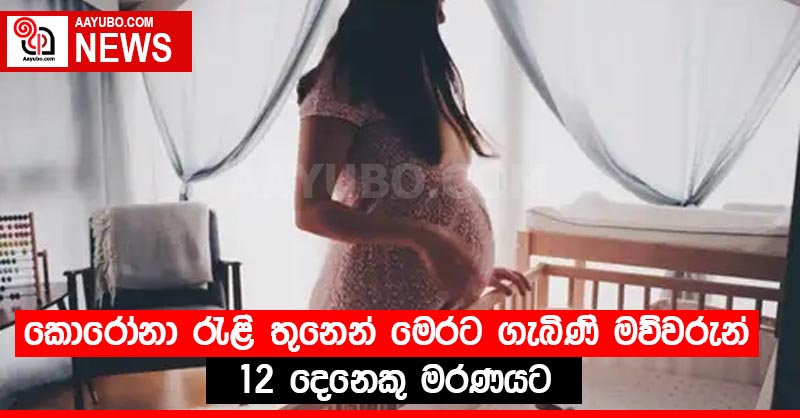 කොරෝනා රැළි තුනෙන් මෙරට ගැබිණි මව්වරුන් 12 දෙනෙකු මරණයට