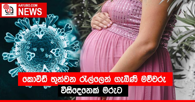 කොවිඩ් තුන්වන රැල්ලෙන් ගැබිණි මව්වරු විසිදෙනෙක් මරුට