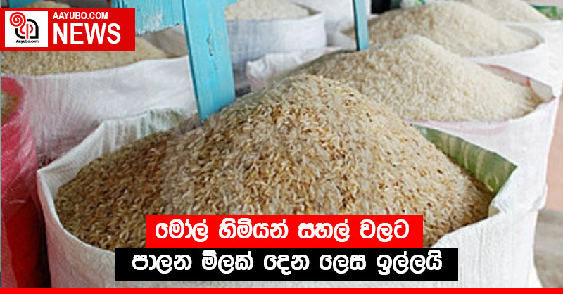 මෝල් හිමියන් සහල් වලට පාලන මිලක් දෙන ලෙස ඉල්ලයි