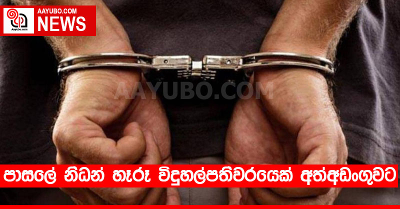 පාසලේ නිධන් හෑරූ විදුහල්පතිවරයෙක් අත්අඩංගුවට