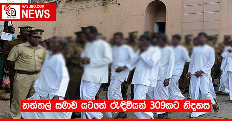 නත්තල් සමාව යටතේ රැඳිවියන් 309කට නිදහස