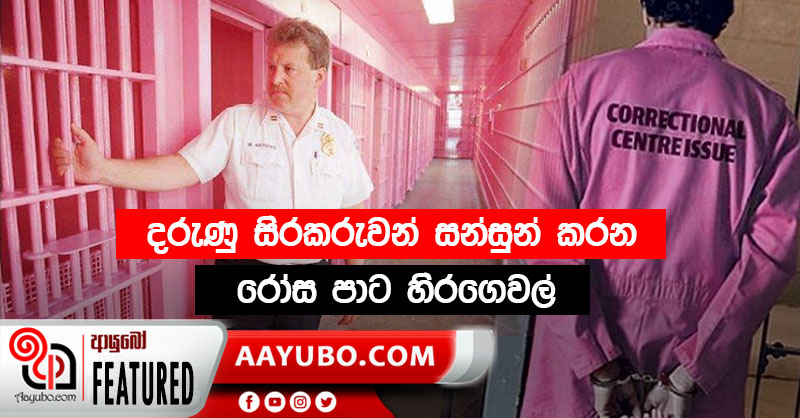 ආක්‍රමණශීලී රැඳවියන් සන්සුන් කිරීමට රෝස පැහැ සිරගෙවල්