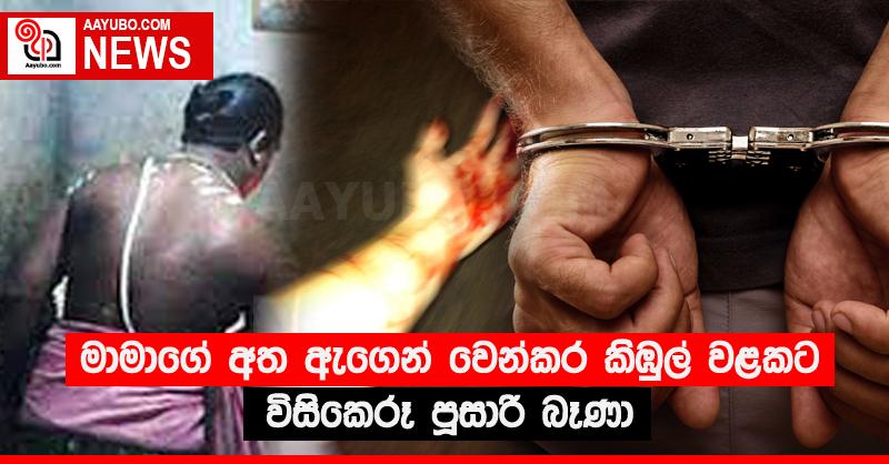 මාමාගේ අත ඇඟෙන් වෙන්කර කිඹුල් වළකට විසිකෙරූ පූසාරි බෑණා