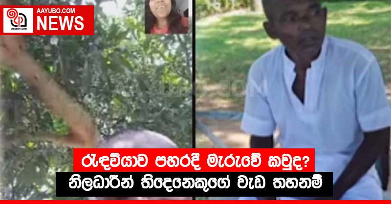 රැඳවියාව පහරදී මැරුවේ කවුද? නිලධාරීන් තිදෙනෙකුගේ වැඩ තහනම්