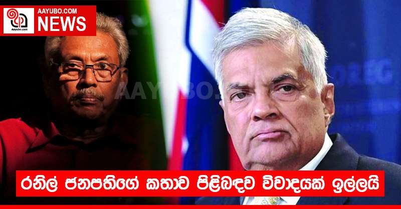 රනිල් ජනපතිගේ කතාව පිළිබඳව විවාදයක් ඉල්ලයි