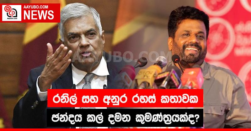 රනිල් සහ අනුර රහස් කතාවක