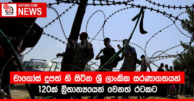 චාගෝස් දූපත් හි සිටින ශ්‍රී ලාංකික සරණාගතයන් 120ක් බ්‍රිතාන්‍යයෙන් වෙනත් රටකට