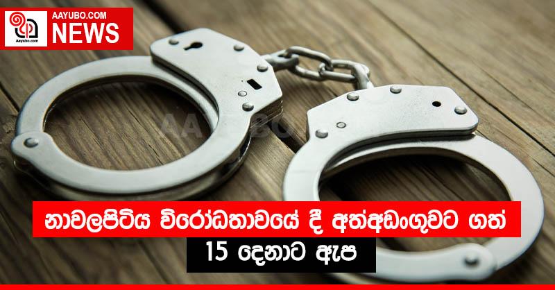 නාවලපිටිය විරෝධතාවයේ දී අත්අඩංගුවට ගත් 15 දෙනාට ඇප