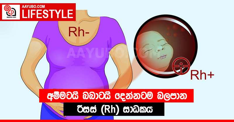 අම්මටයි බබාටයි දෙන්නටම බලපාන රීසස් (Rh) සාධකය 