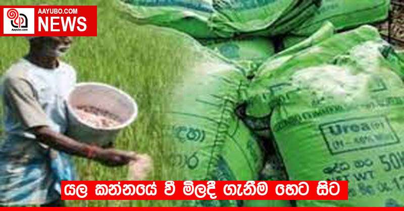 යල කන්නයේ වී මිලදී ගැනීම හෙට සිට