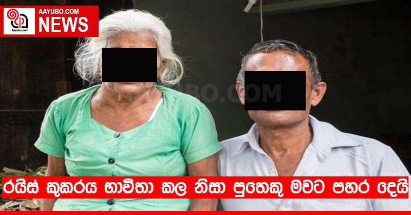 රයිස් කුකරය භාවිතා කල නිසා පුතෙකු මවට පහර දෙයි