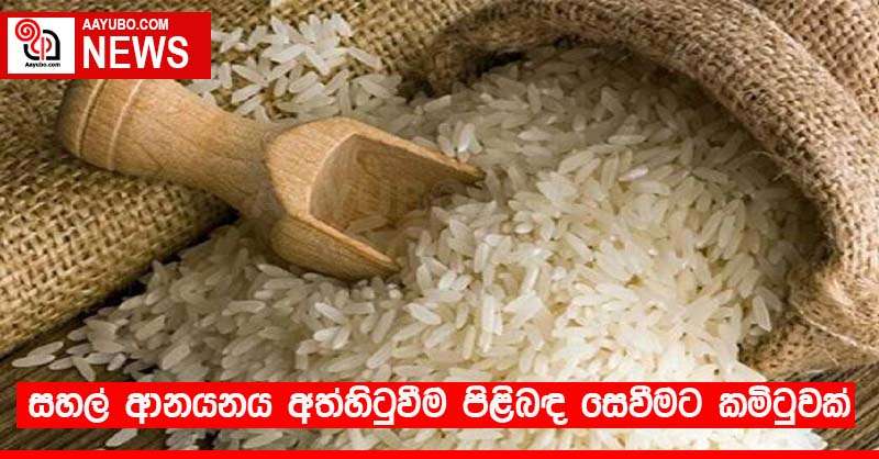 සහල් ආනයනය අත්හිටුවීම පිළිබඳ සෙවීමට කමිටුවක්
