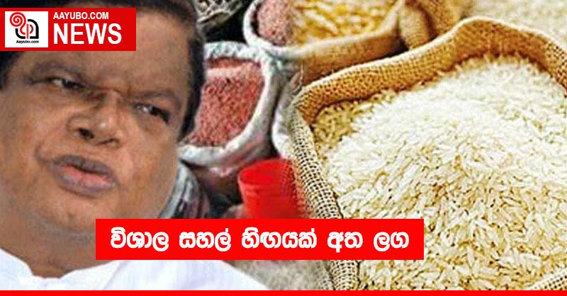 විශාල සහල් හිඟයක් අත ලග