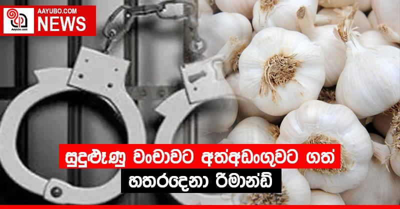 සුදුළුෑණු වංචාවට අත්අඩංගුවට ගත් හතරදෙනා රිමාන්ඩ්