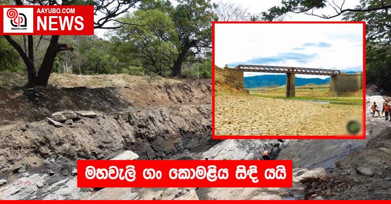 මහවැලි ගං කොමළිය සිඳි යයි
