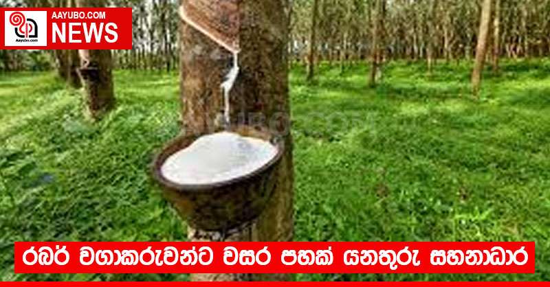 රබර් වගාකරුවන්ට වසර පහක් යනතුරු සහනාධාර