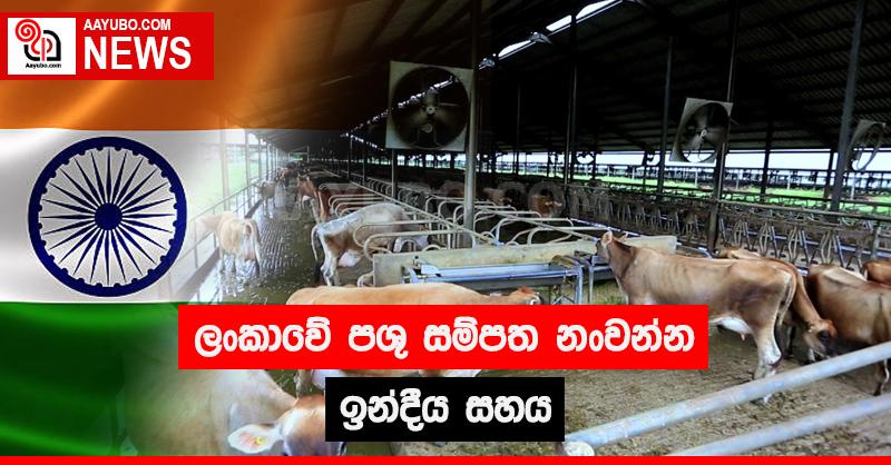 ලංකාවේ පශු සම්පත නංවන්න ඉන්දීය සහය