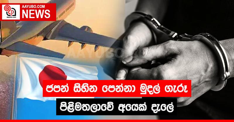 ජපන් සිහින පෙන්නා මුදල් ගැරූ පිළිමතලාවේ අයෙක් දැලේ