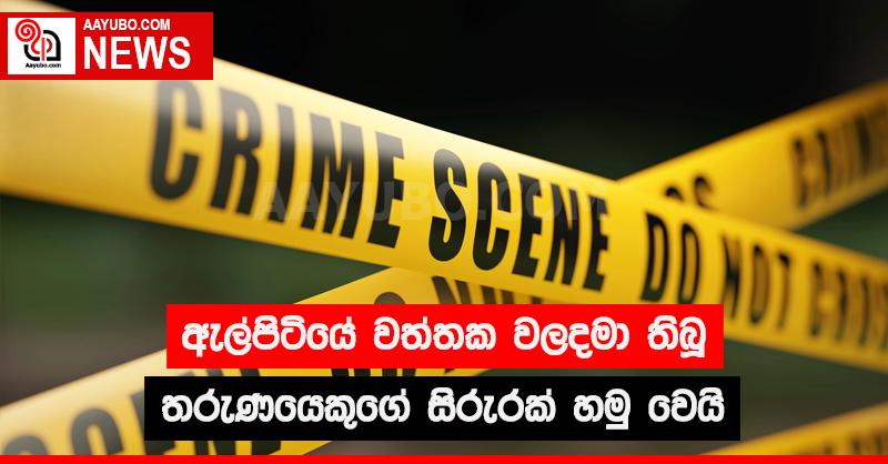 ඇල්පිටියේ වත්තක වල දමා තිබූ තරුණයෙකුගේ සිරුරක් හමු වෙයි