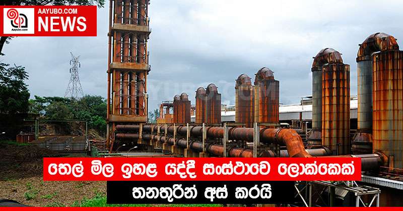 තෙල් මිල ඉහළ යද්දී සංස්ථා ලොක්කෙක් තනතුරින් අස් කරයි