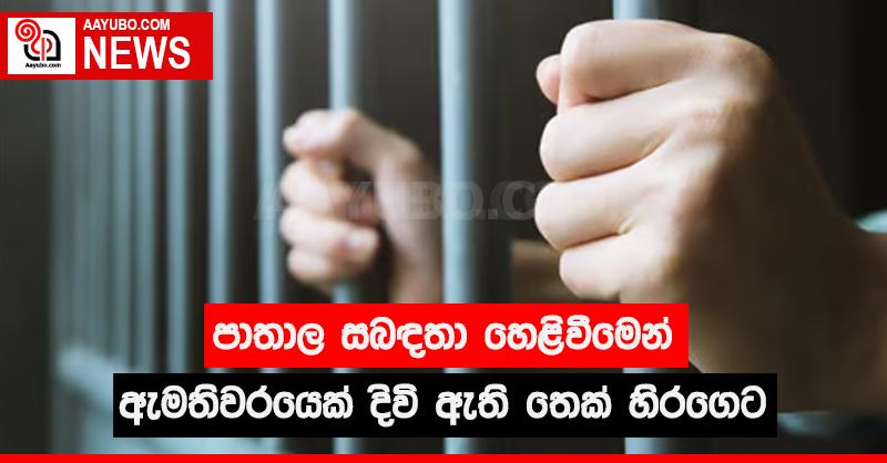 පාතාල සබඳතා හෙළිවීමෙන් ඇමතිවරයෙක් දිවි ඇති තෙක් හිරගෙට