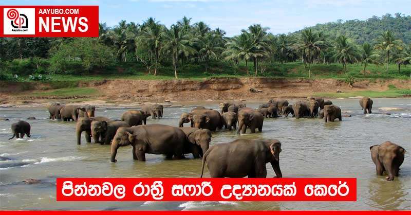 පින්නවල රාත්‍රී සෆාරී උද්‍යානයක් කෙරේ