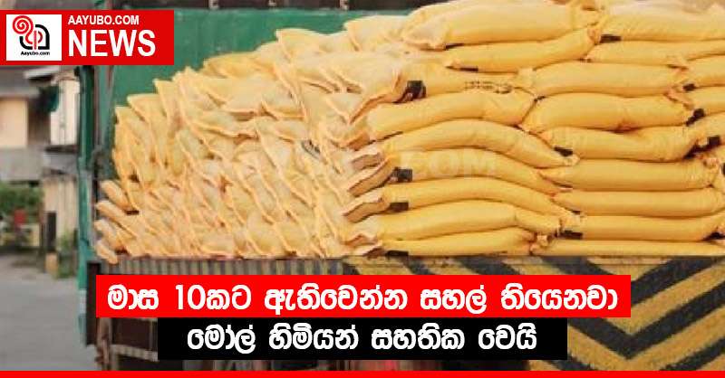 මාස 10කට ඇතිවෙන්න සහල් තියෙනවා - මෝල් හිමියන් සහතික වෙයි