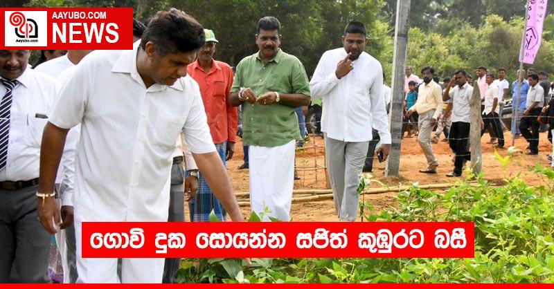 ගොවි දුක සොයන්න සජිත් කුඹුරට බසී