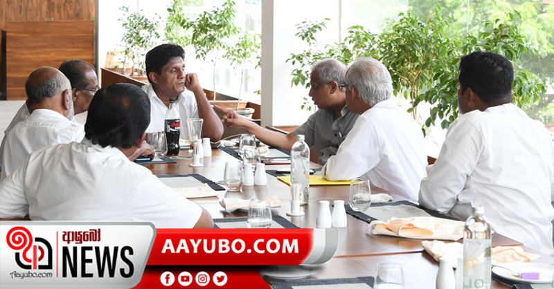 කොන්දේසි 13 එකඟත්වය  -  සජිත්ට ලැබුණු සහාය