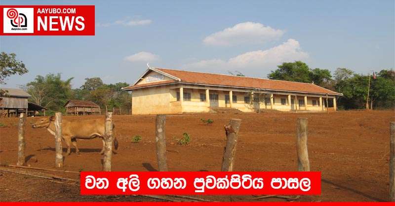 වන අලි ගහන පුවක්පිටිය පාසල