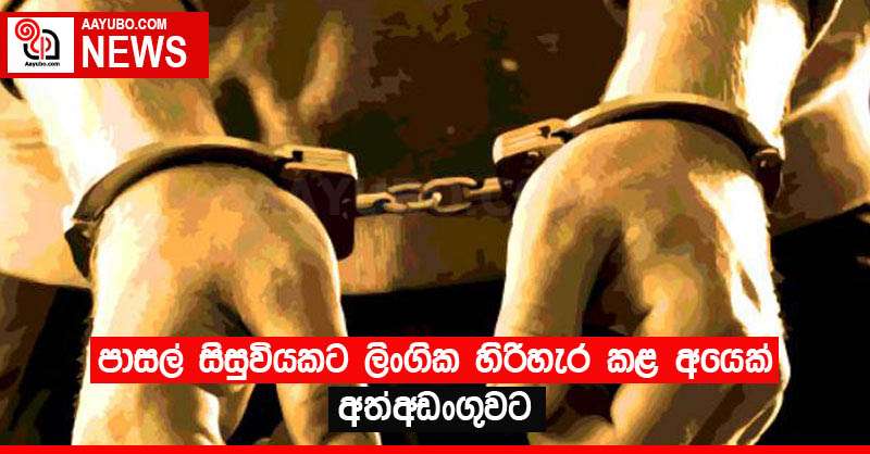පාසල් සිසුවියකට ලිංගික හිරිහැර කළ අයෙක් අත්අඩංගුවට