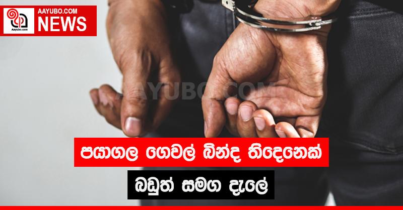 පයාගල ගෙවල් බින්ද දෙදෙනෙක් බඩුත් සමග දැලේ