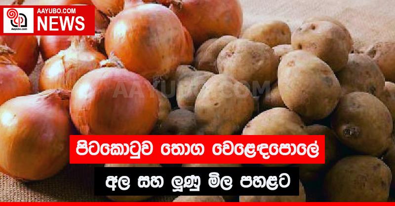 පිටකොටුව තොග වෙළෙඳපොලේ අල සහ ලූණු මිල පහළට