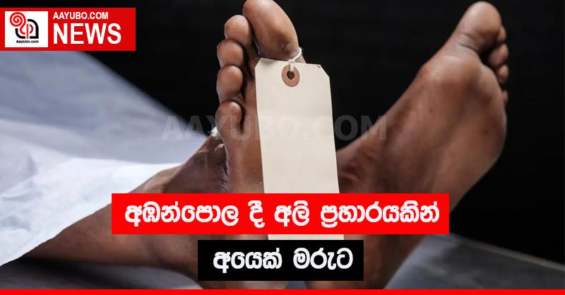 අඹන්පොළදී අලි ප්‍රහාරයකින් අයෙක් මරුට