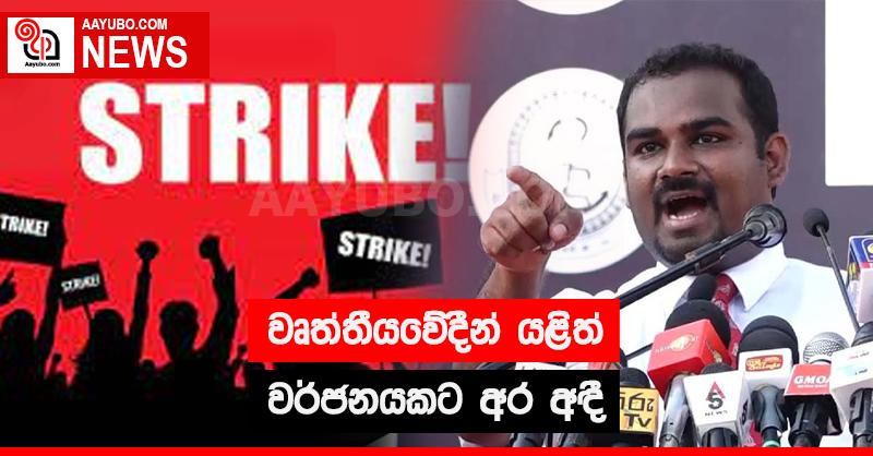 වෘත්තීයවේදීන් යළිත් වර්ජනයකට අර අඳී